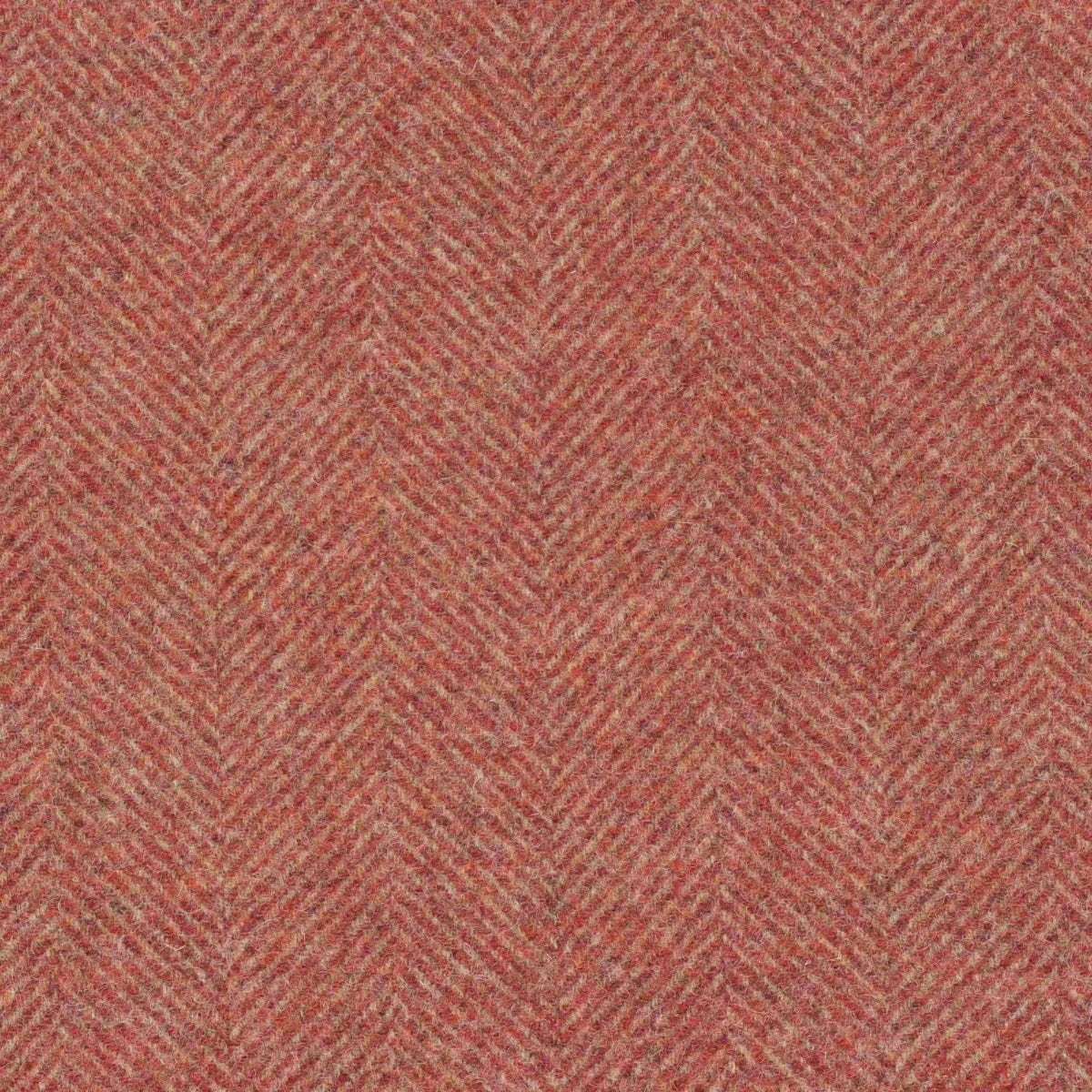 Abraham Moon Little Morton Hall Rouge Fabric - Image 4