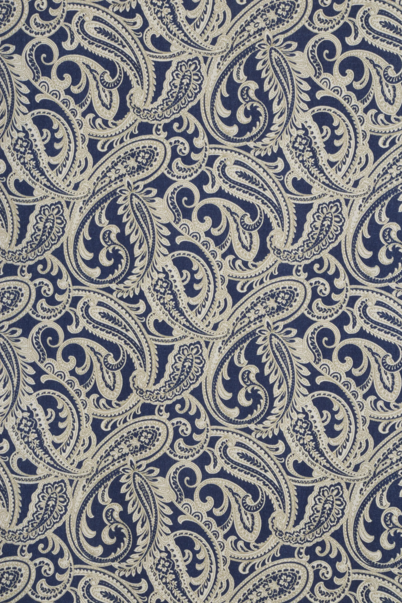 Amira Paisley Navy Fabric