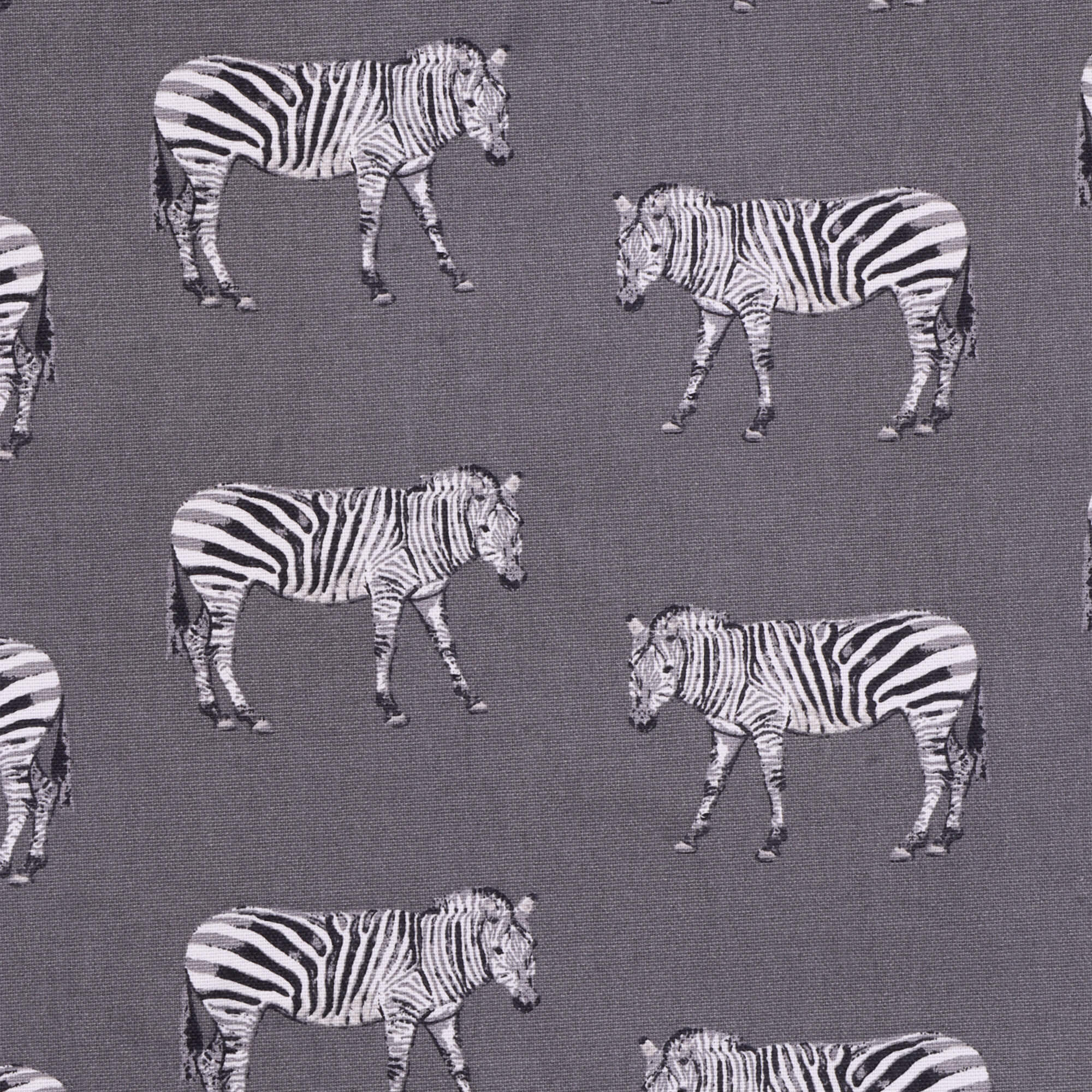 Clearance Prestigious Textiles Reserve Charcoal Fabric - Image 6
