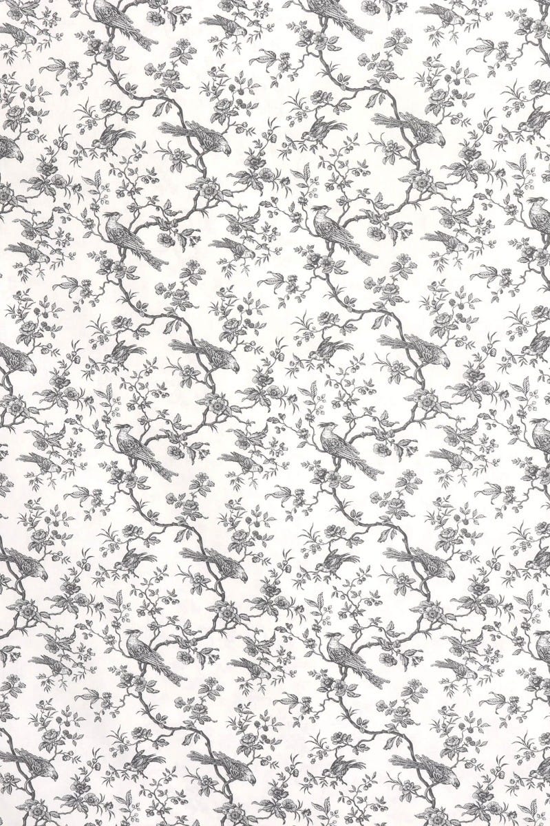 Isabelle Bird Toile Mini Charcoal Cotton Double Width Fabric