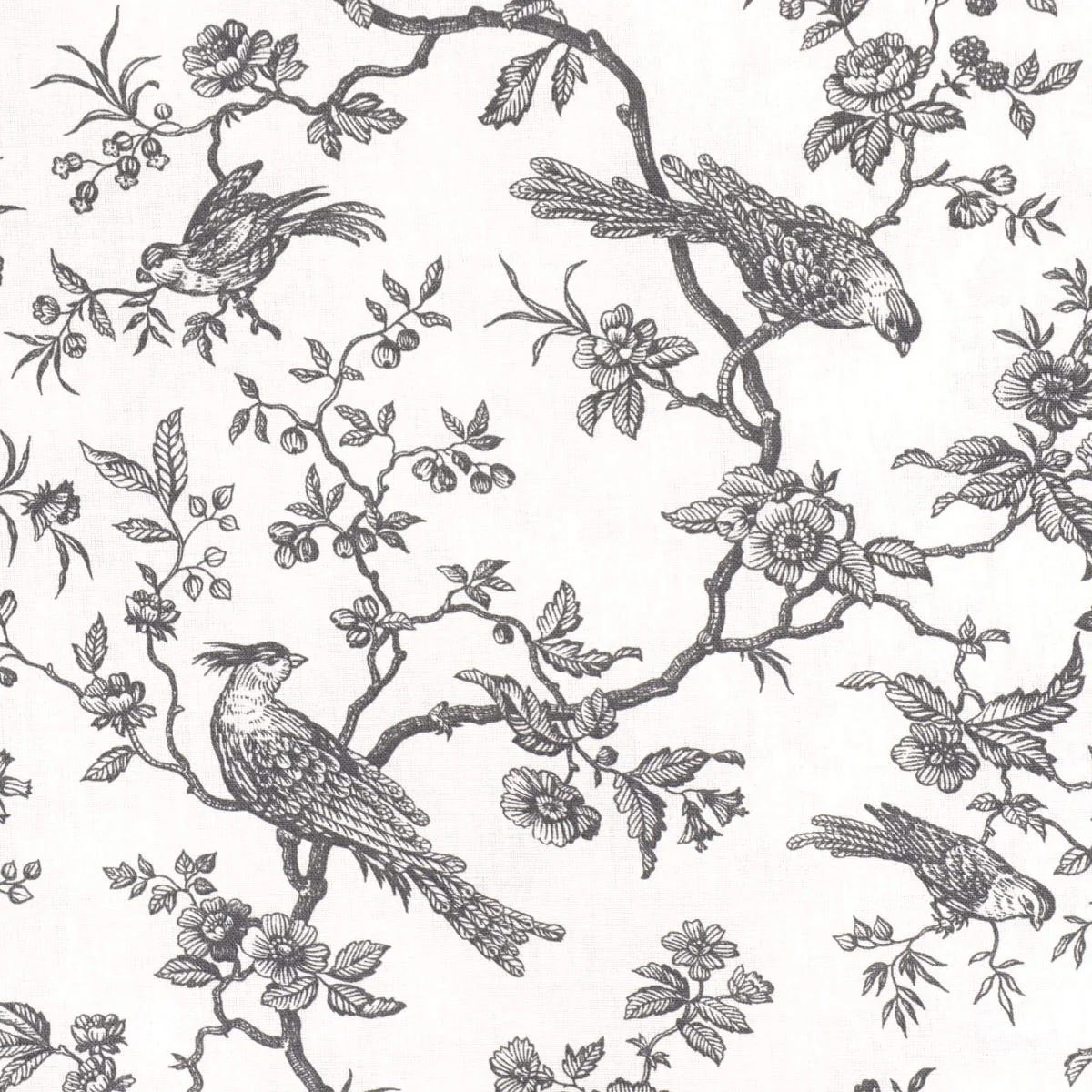 Isabelle Bird Toile Mini Charcoal Cotton Double Width Fabric - Image 5