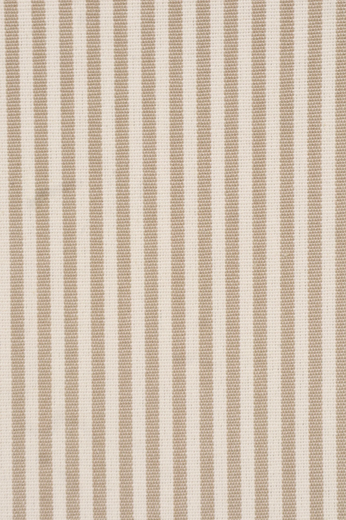 Pinstripe Beige Fabric