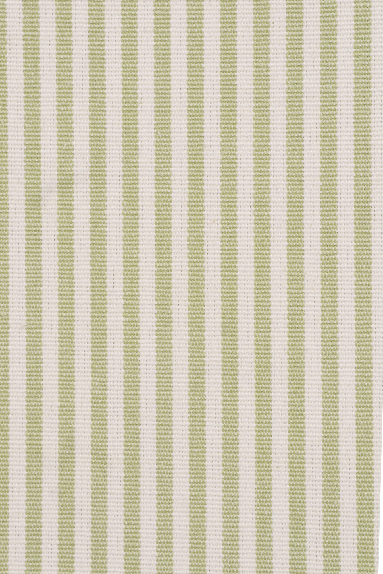 Pinstripe Green Fabric
