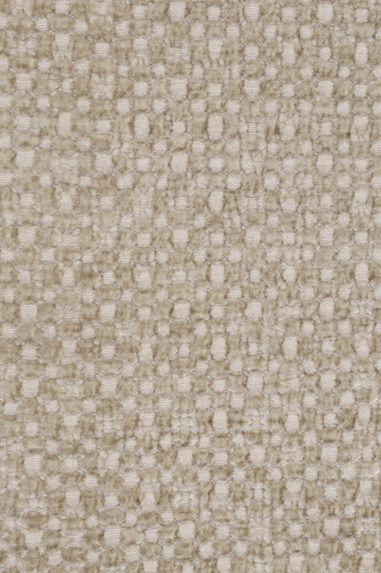 Prestigious Textiles Hepworth Ecru Fabric