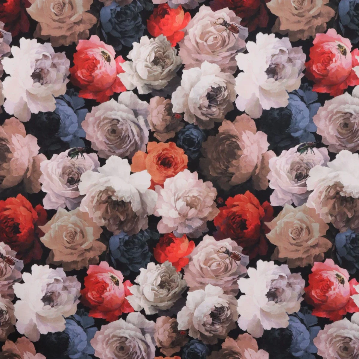 Clearance Rosa Honey & Beetles Velvet Fabric - Image 7