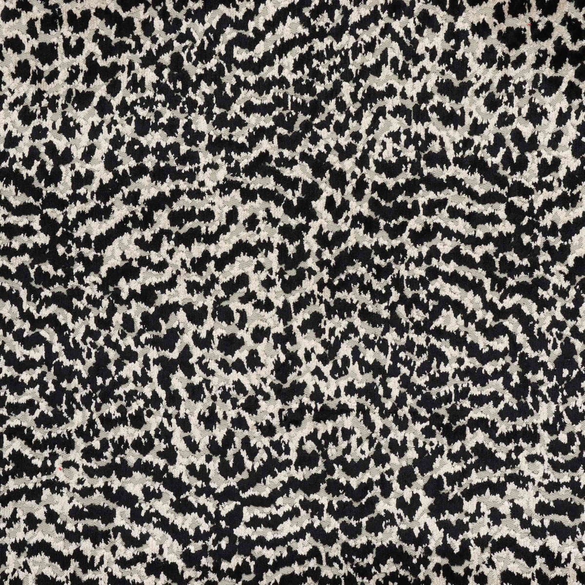 Clearance Voyage Plumage Noir Velvet Fabric - Image 7